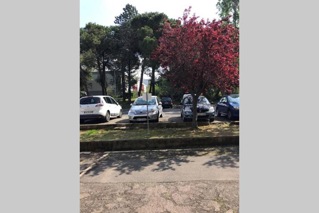 בזייה Bel Appartement Avec Vue Et Parking Prive מראה חיצוני תמונה