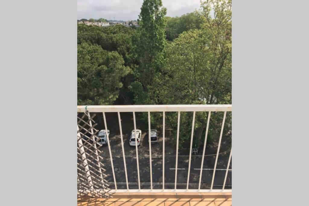 בזייה Bel Appartement Avec Vue Et Parking Prive מראה חיצוני תמונה